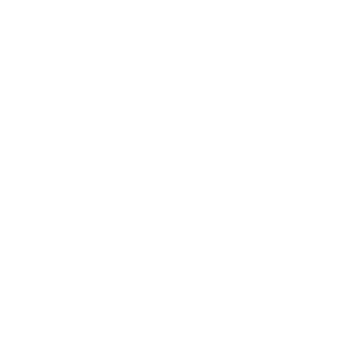 A security key icon